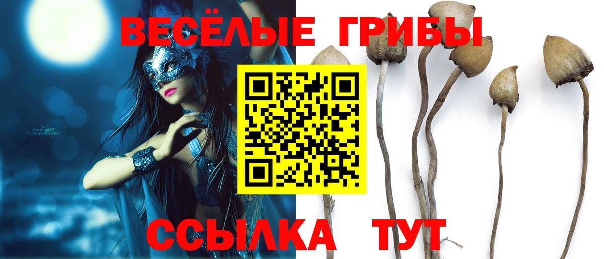 Галлюциногенные грибы прущие грибы  Вход с VPN  Зеленокумск 